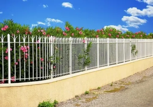" ALGERIA WALLS " CLÔTURE