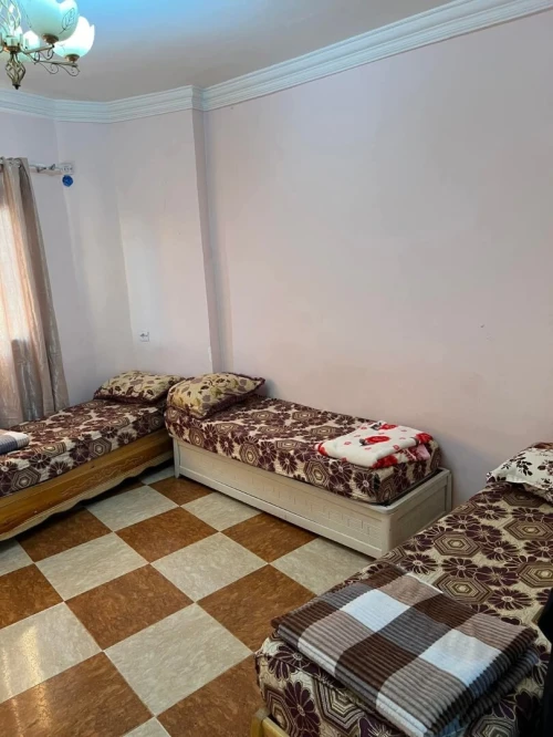 Location Appartement F3 Biskra Biskra