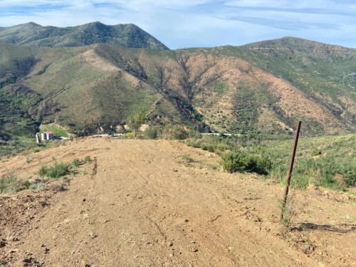 Vente Terrain Béjaïa Bejaia