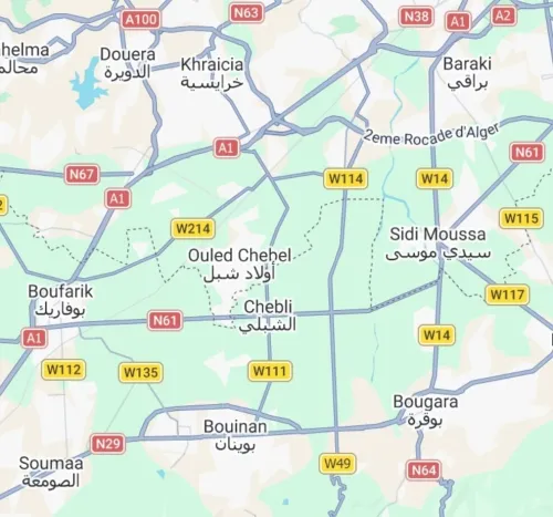 Vente Terrain Alger Ouled chebel