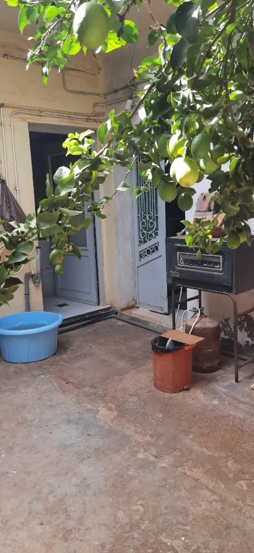 Vente Villa Aïn Témouchent Chaabet el ham