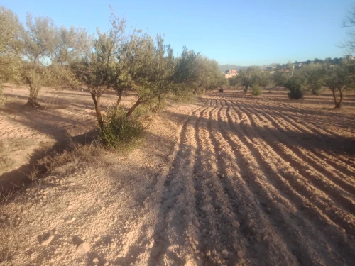 Vente Terrain Bouira Ath mansour taourirt