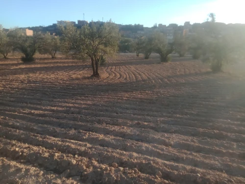 Vente Terrain Bouira Ath mansour taourirt