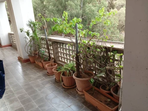 Location Duplex F4 Alger Sidi mhamed