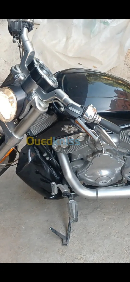 Harley davidson V rod muscle 2014