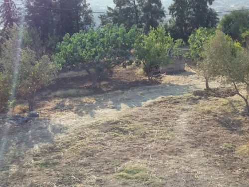 Vente Villa Tizi ouzou Makouda