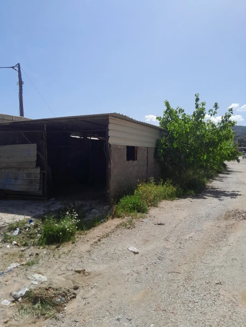 Location Terrain Agricole Blida Meftah