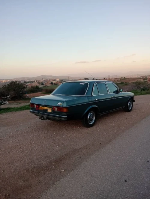 Mercedes W123 1980 
