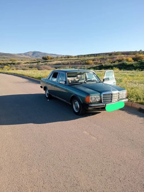 Mercedes W123 1980 