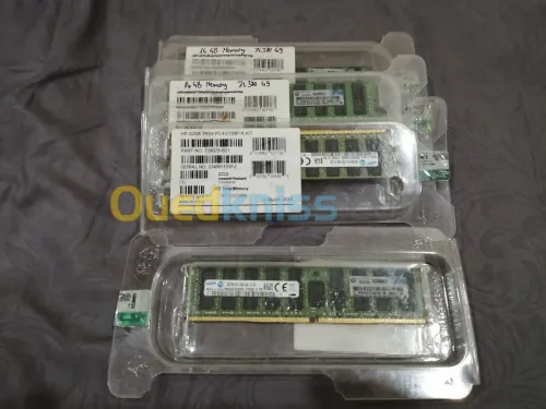 Ram server