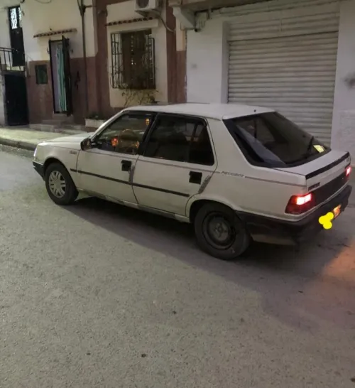 Peugeot 309 1990 309