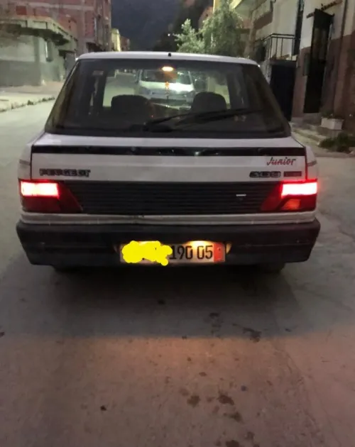 Peugeot 309 1990 309