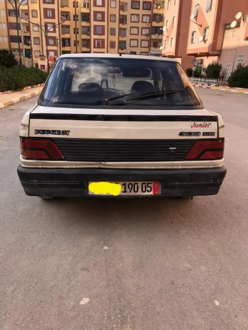 Peugeot 309 1990 309