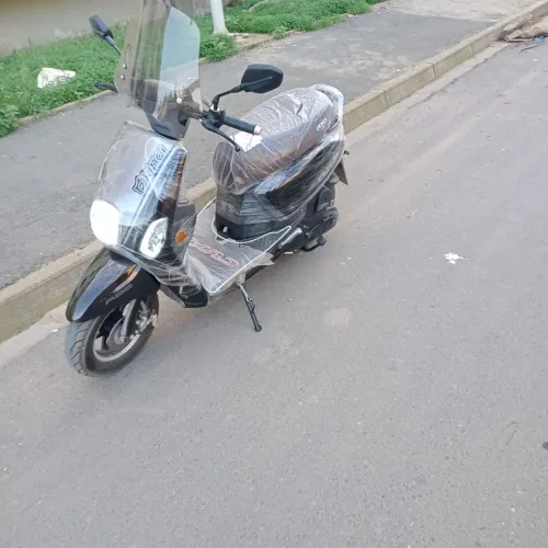 Cuxi okinoi Cuxi okinoi 2024