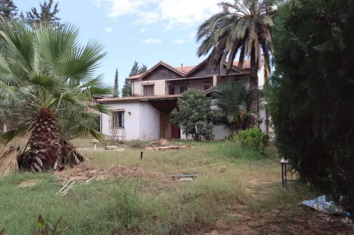Vente Terrain Tipaza Kolea