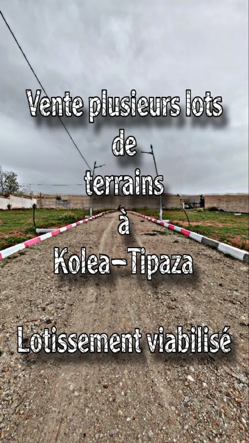 Vente Terrain Tipaza Kolea