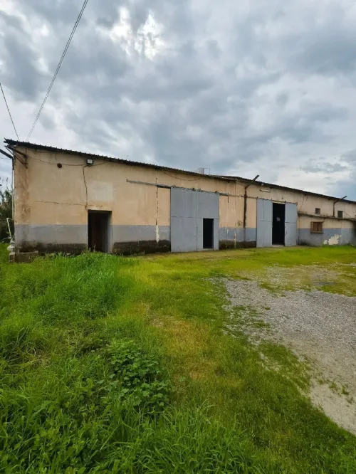 Vente Hangar - Usine Blida Ben khellil