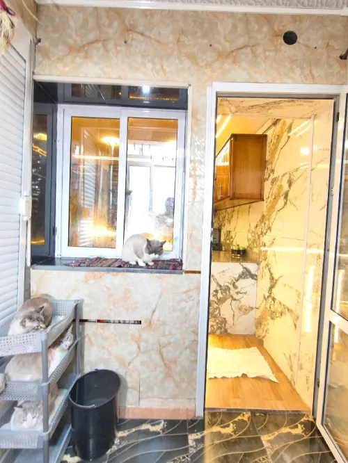Vente Appartement F3 Tipaza Khemisti