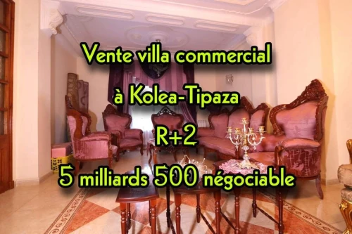 Vente Villa Tipaza Kolea