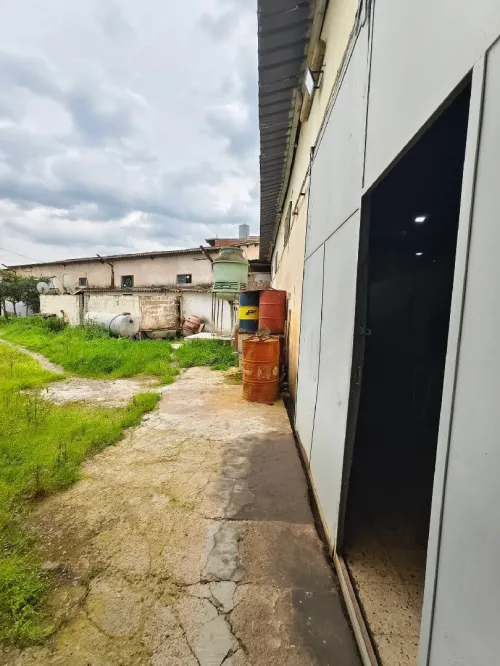 Vente Hangar - Usine Blida Ben khellil
