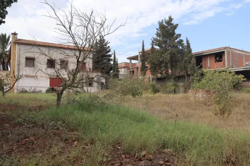 Vente Terrain Tipaza Kolea