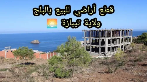 Vente Terrain Tipaza Tipaza