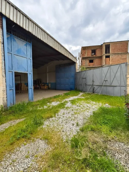 Vente Hangar - Usine Blida Ben khellil