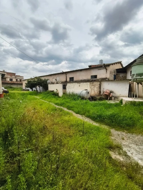 Vente Hangar - Usine Blida Ben khellil