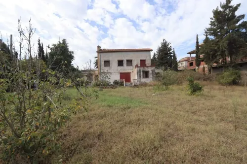 Vente Terrain Tipaza Kolea