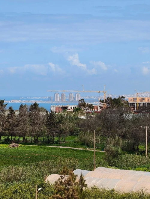 Vente Appartement Studio F2 F3 Tipaza Fouka
