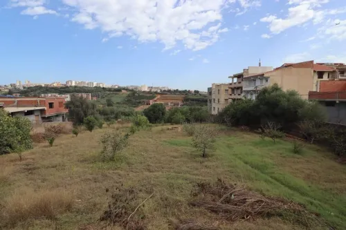 Vente Terrain Tipaza Kolea