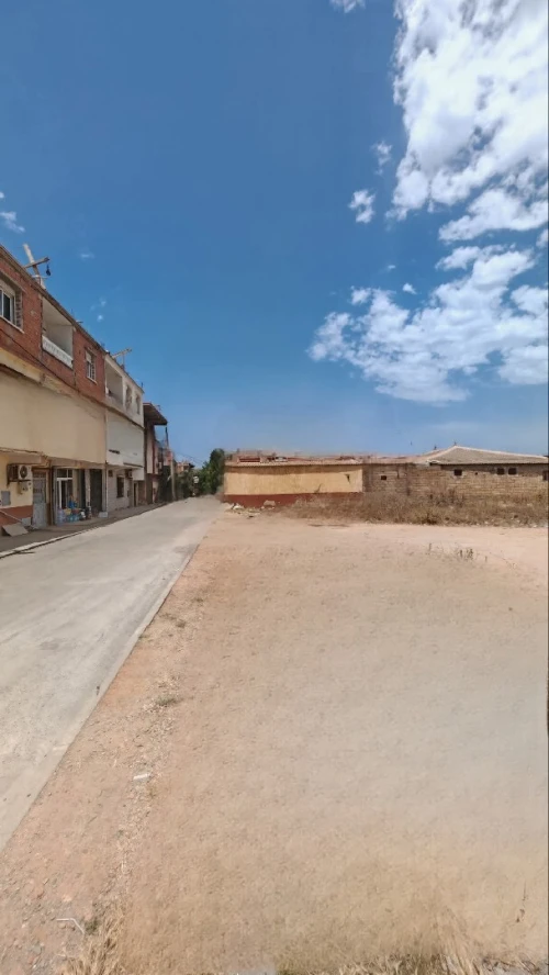 Vente Terrain Tipaza Bou ismail