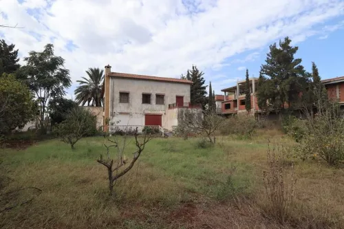 Vente Terrain Tipaza Kolea