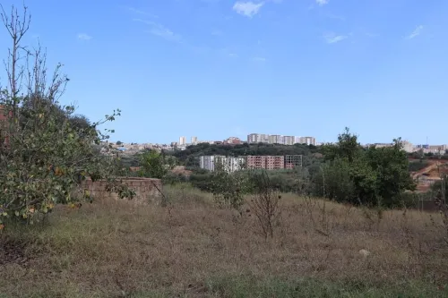 Vente Terrain Tipaza Kolea