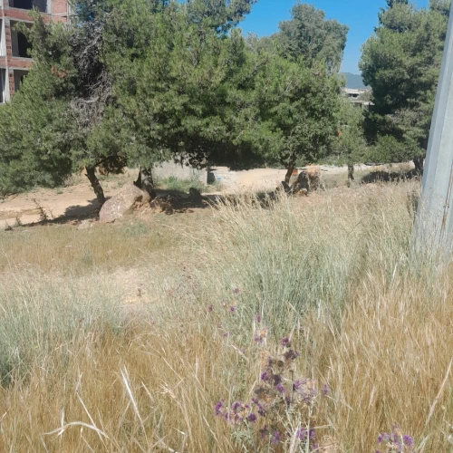 Vente Terrain Béjaïa Bejaia