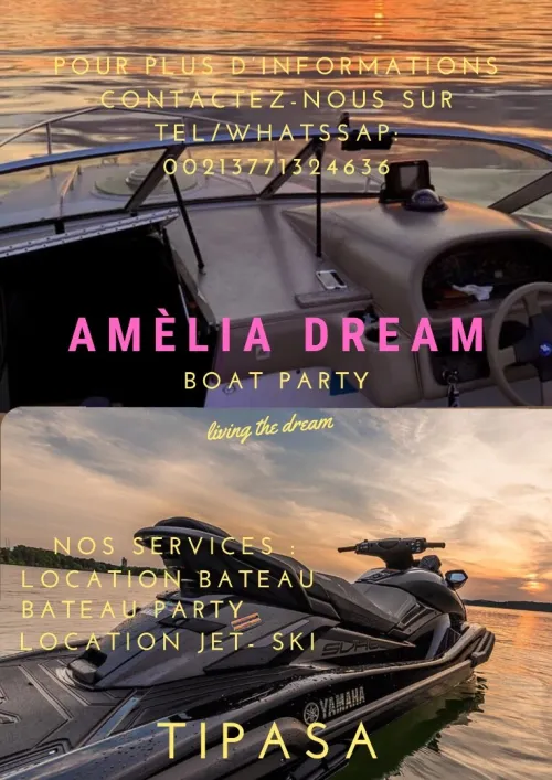 Location bateau journée/demi journée/balades 