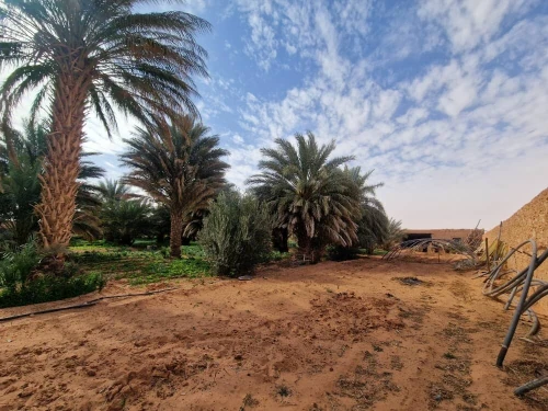Vente Terrain Timimoun Timimoun