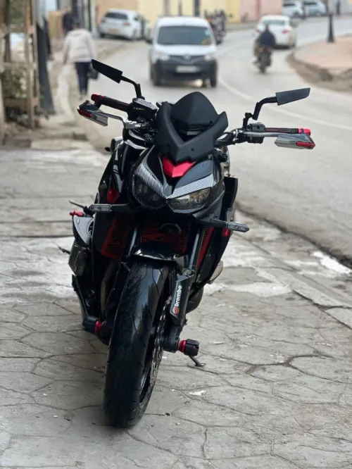 kawasaki Z1000 2019