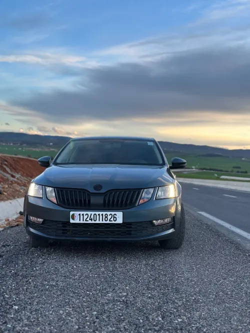 Skoda Octavia 2018 Business