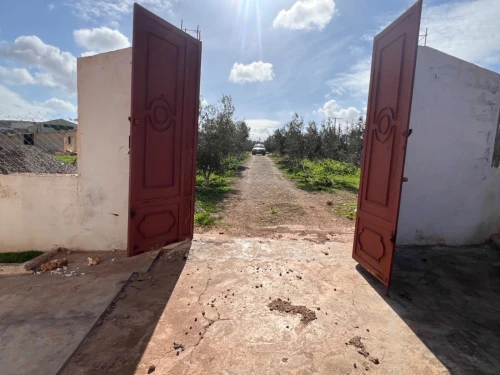 Vente Terrain Agricole Oran Boufatis