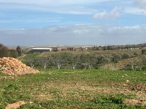 Vente Terrain Agricole Oran Boufatis
