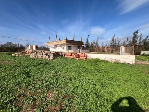 Vente Terrain Agricole Oran Boufatis