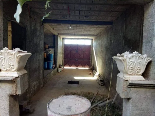 Vente bien immobilier Sidi Bel Abbès Amarnas