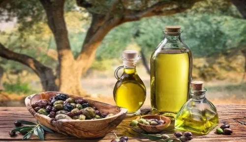 HUILERIE D'OLIVES TRADITIONNELLE ADEKAR Akfadou