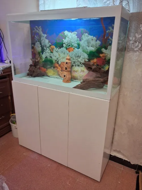 Aquarium avec meuble Haute Finition 1m