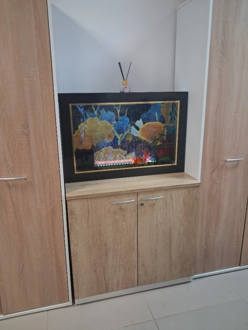 Aquarium plasma 80cm avec accessoires et 10 poissons Koi