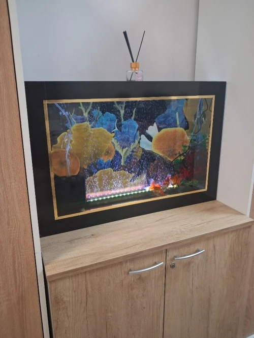 Aquarium plasma 80cm avec accessoires et 10 poissons Koi