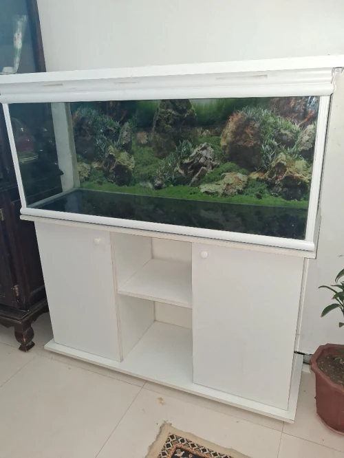 Aquarium avec meuble d'origine Blanc 1,2m avec accessoires
