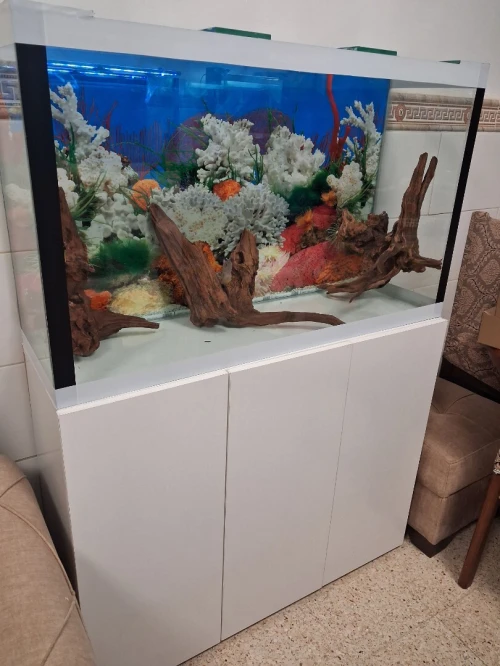 Aquarium avec meuble Haute Finition 1m