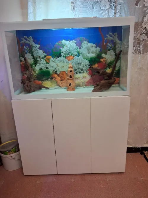 Aquarium avec meuble Haute Finition 1m
